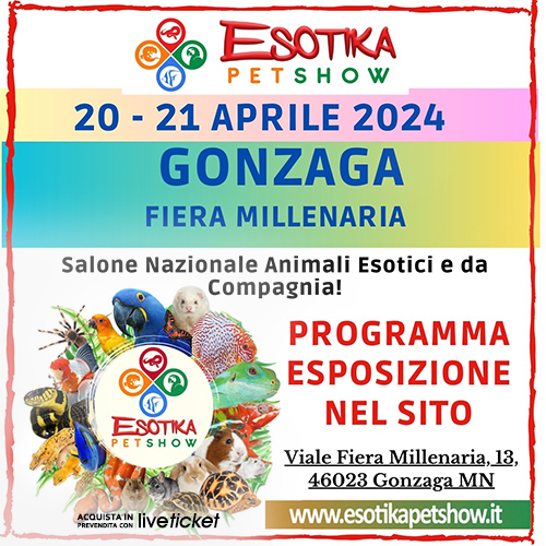 Esotika Gonzaga 2024