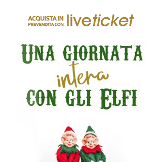 Una giornata intera con gli elfi - 29 dicembre