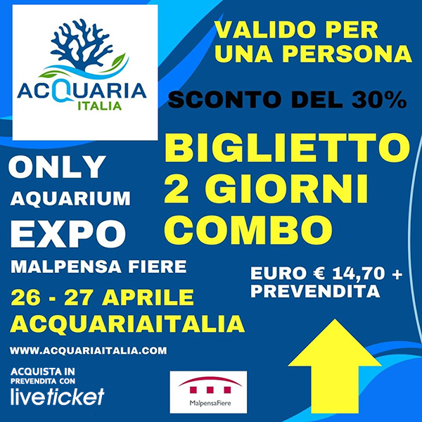 Acquaria combo