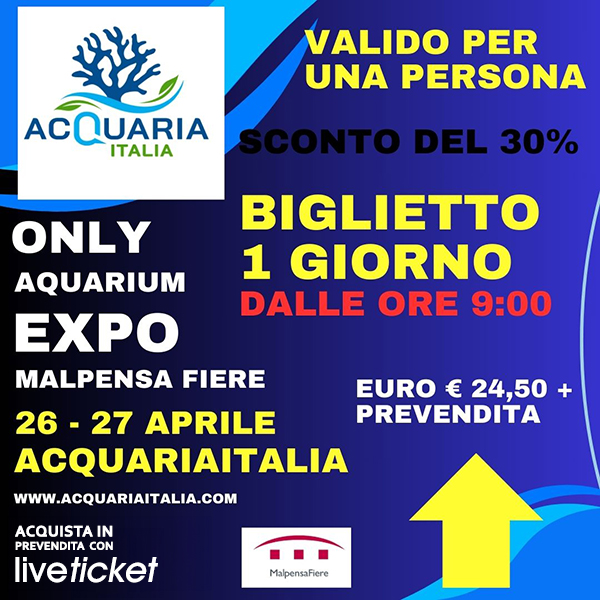 Acquaria EARLY ENTRANCE