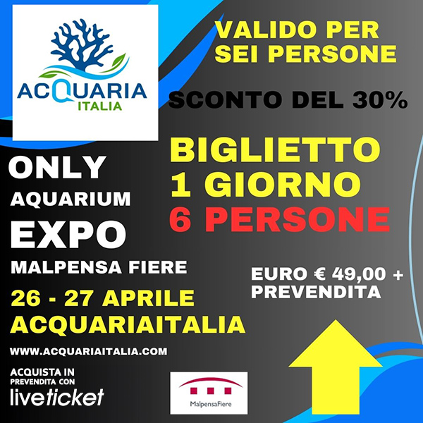 Acquaria GRUPPO 6 PERSONE