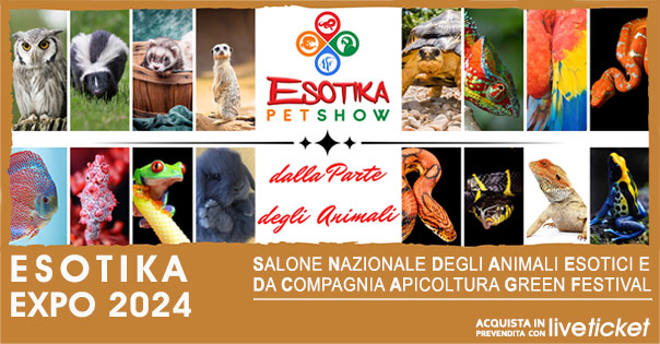 Biglietti per ESOTIKA EXPO