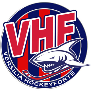 HokeyFeltre Logo