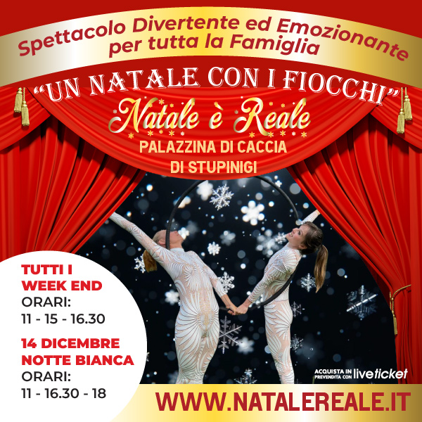 UN NATALE CON I FIOCCHI - TOUR SHOW E TOUR MERAVIGLIA