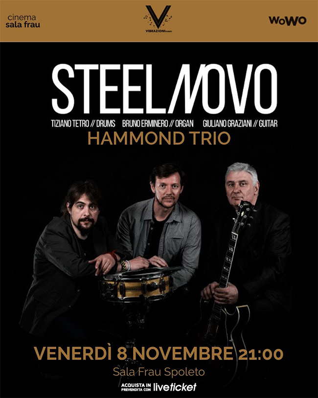 Steelnovo in concerto