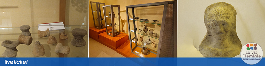 VISITA ANTIQUARIUM PITINUM MERGENS