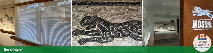 Visita Sala dei Mosaici a Colli al Metauro