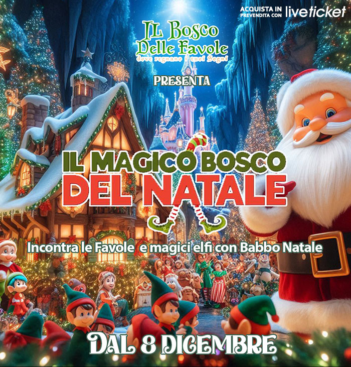 Il Magico Bosco Del Natale