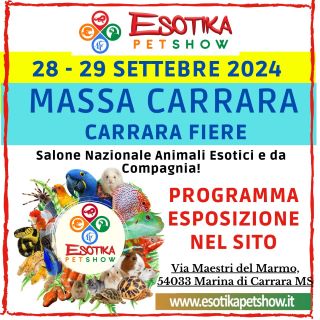 ESOTIKA CARRARA 2024 SALTAFILA | OPEN A DATA APERTA